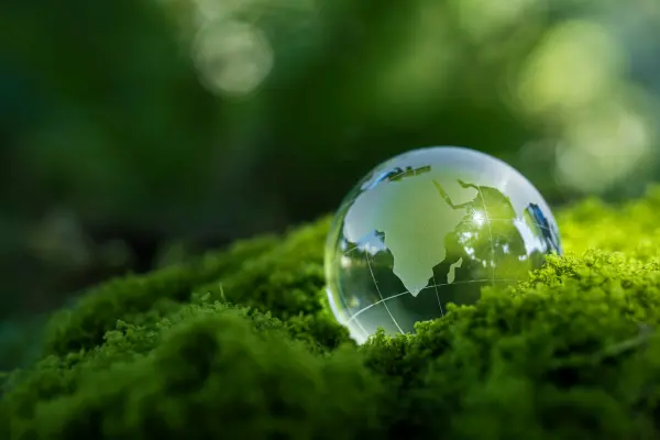 Green commerce