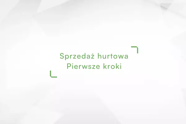 Sprzedaż-Hurtowa-Pierwsze-Kroki