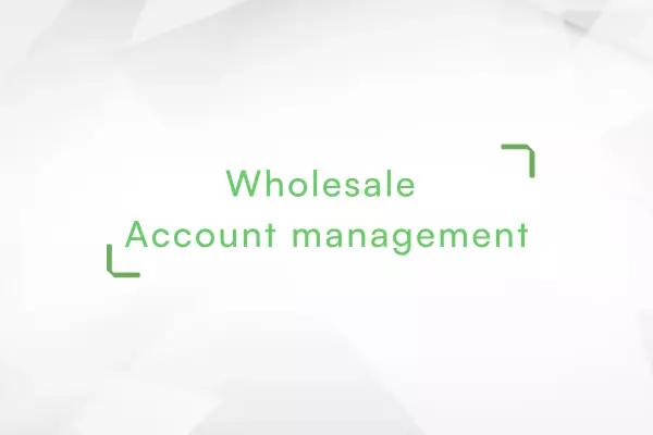 Wholesale-Account-management