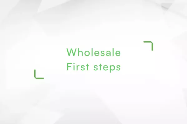 Wholesale-first-steps