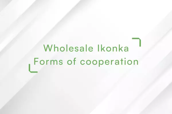 Wholesale-Ikonka-Forms-of-cooperation