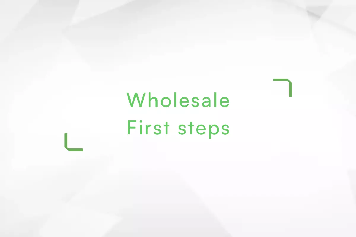 Wholesale-first-steps