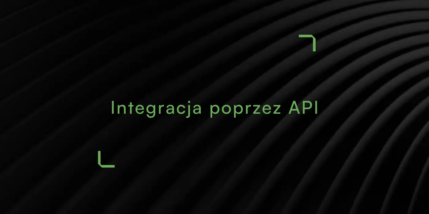 Zamówienia hurtowe prosto z Twojego systemu: czym jest API i co daje Twojej firmie