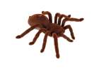 Pająk TARANTULA Zdalnie Sterowany robot na pilota + PILOT 2