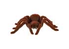 Pająk TARANTULA Zdalnie Sterowany robot na pilota + PILOT 7