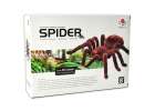 Pająk TARANTULA Zdalnie Sterowany robot na pilota + PILOT 9