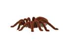 Remote Controlled TARANTULA Spider + PILOT 5