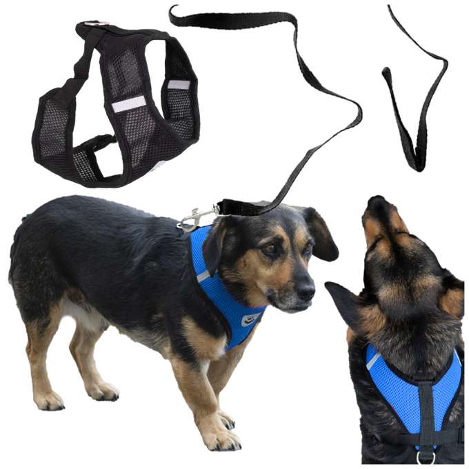 Pressureless walking harness adjustable reflector for dog cat + leash size XL