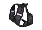 Tensionless harness for small dogs + leash XL 2