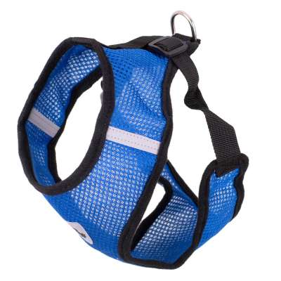 Tensionless harness for small dogs + leash XL