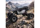 RC Rock Crawler 4x4 car LHC012 auto 2-in-1 black 17