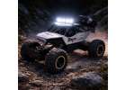 RC car Rock Crawler 1:12 4WD METAL silver 14