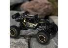 RC car Rock Crawler 2.4GHz 1:8 51cm black 13