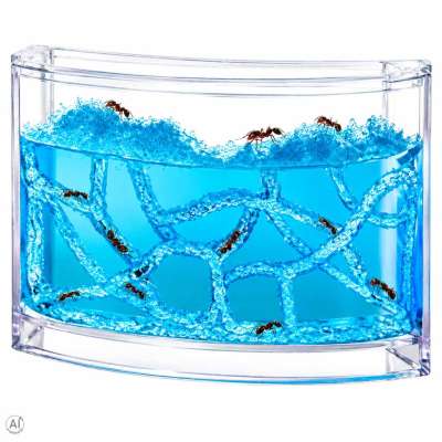 Educational Gel Ant Tank