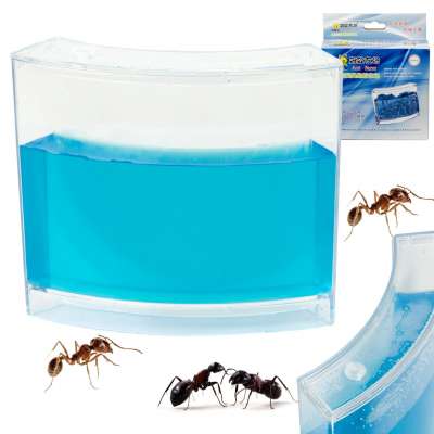 Educational gel aquarium for ants