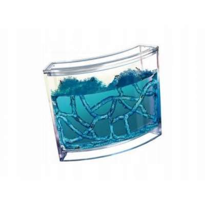 Educational gel aquarium for ants