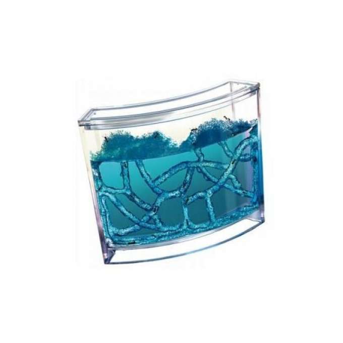 Educational gel aquarium for ants
