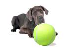Giant tennis ball XXL 24cm dog toy 1