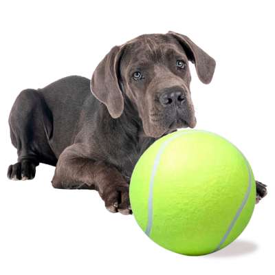 Giant tennis ball XXL 24cm dog toy