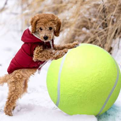 Giant tennis ball XXL 24cm dog toy