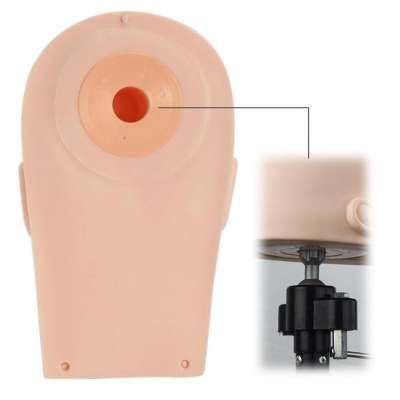 Head Training head for eyelash extensions