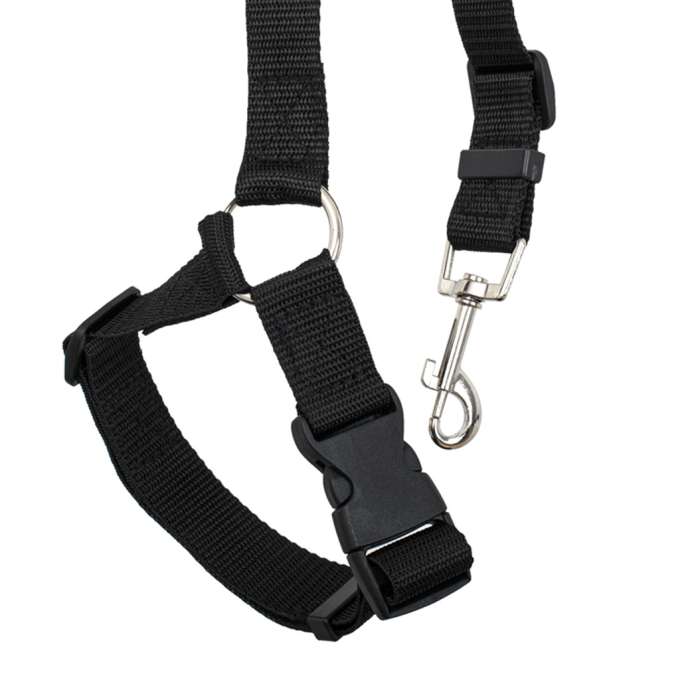 Car seat belt leash for dog cat