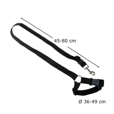 Car seat belt leash for dog cat