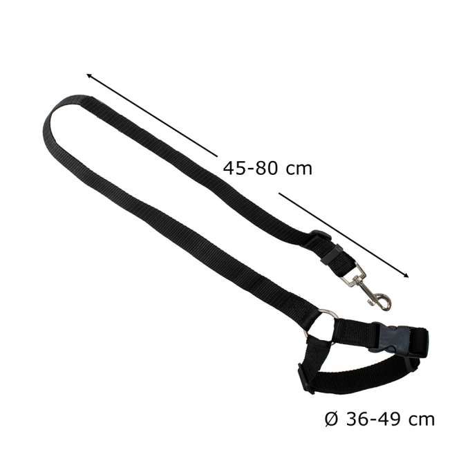 Car seat belt leash for dog cat