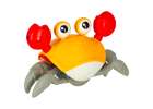 Crab crawling interactive with sound red 5