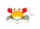 Crab crawling interactive with sound red 13