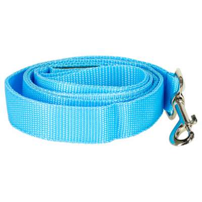 Luminous dog leash cat walk autumn winter night LED 1.2 m blue