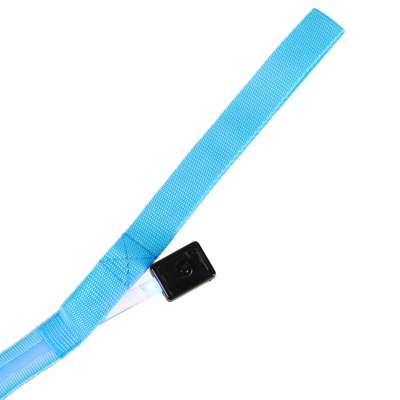 Luminous dog leash cat walk autumn winter night LED 1.2 m blue