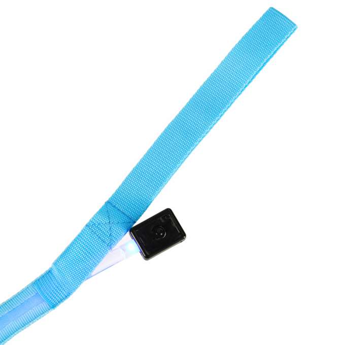 Luminous dog leash cat walk autumn winter night LED 1.2 m blue
