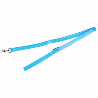 Luminous dog leash cat walk autumn winter night LED 1.2 m blue