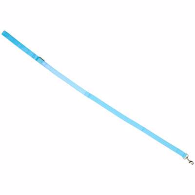 Luminous dog leash cat walk autumn winter night LED 1.2 m blue