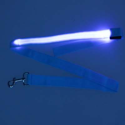 Luminous dog leash cat walk autumn winter night LED 1.2 m blue
