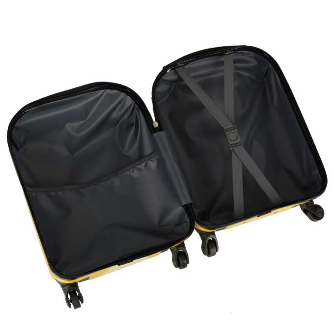 Children's travel suitcase on wheels hand luggage lion