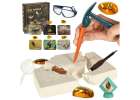 Archaeological excavation set insects in amber 1
