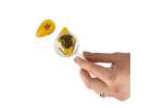 Archaeological excavation set insects in amber 3