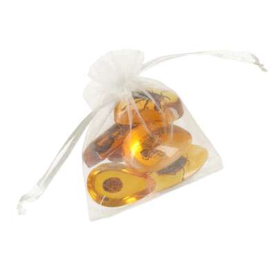 Archaeological excavation set insects in amber