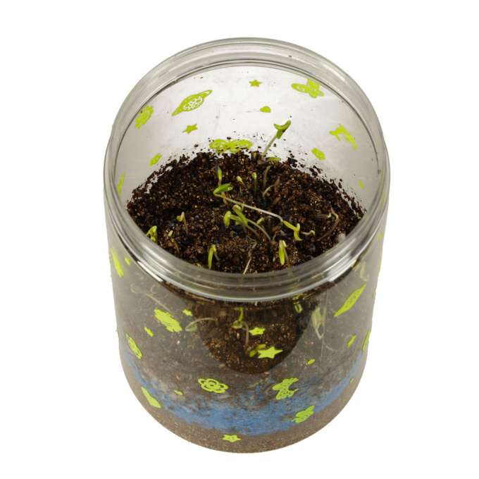 Dinosaur breeding terrarium projector with LED night light