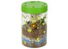 Dinosaur breeding terrarium projector with LED night light 12