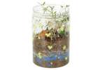 Dinosaur breeding terrarium projector with LED night light 13