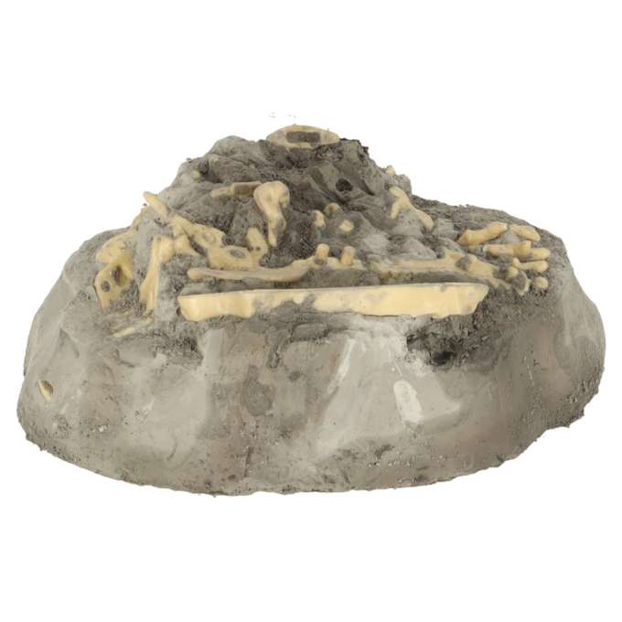 Educational science set volcano experiment dinosaur fossil