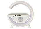 LED light with induction charger with radio 4