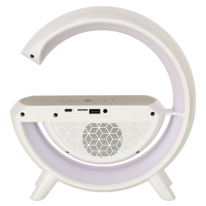 LED light with induction charger with radio
