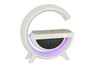 LED light with induction charger with radio 5