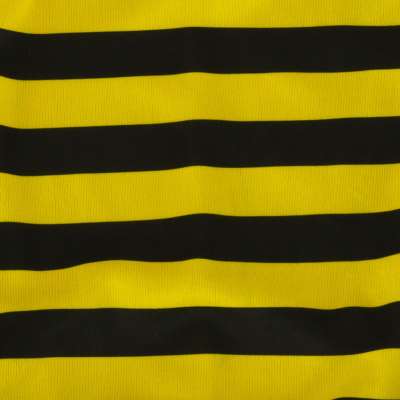 Carnival costume bee 2 el