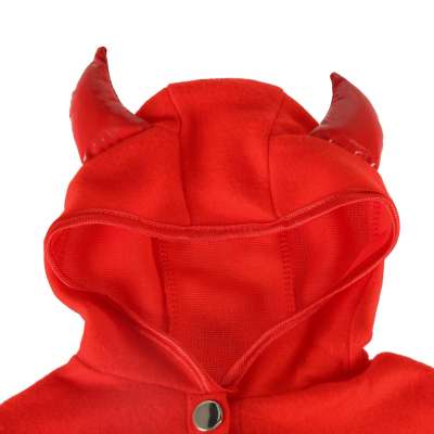 Carnival costume devil