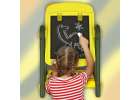 Dinosaur magnetic dry erase board 9